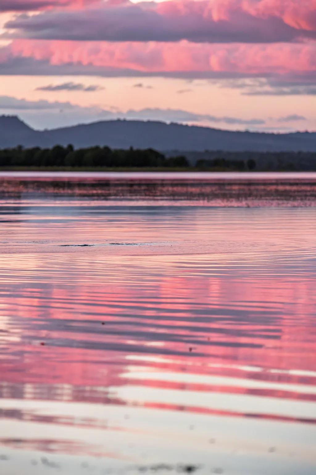 Tranquil painting of pink reflections over water.