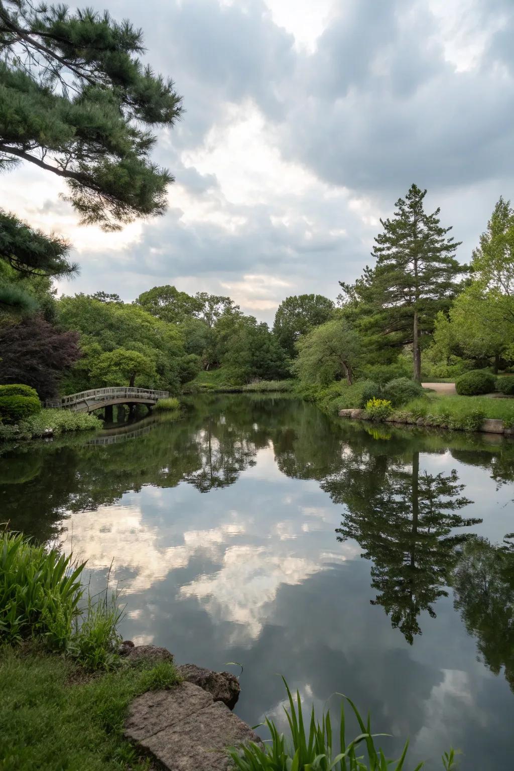 Stagnant water mirrors fashion tranquil reflections.