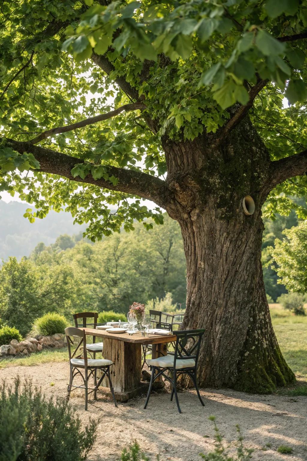 A tree-trunk table blends seamlessly with the outdoor environment.