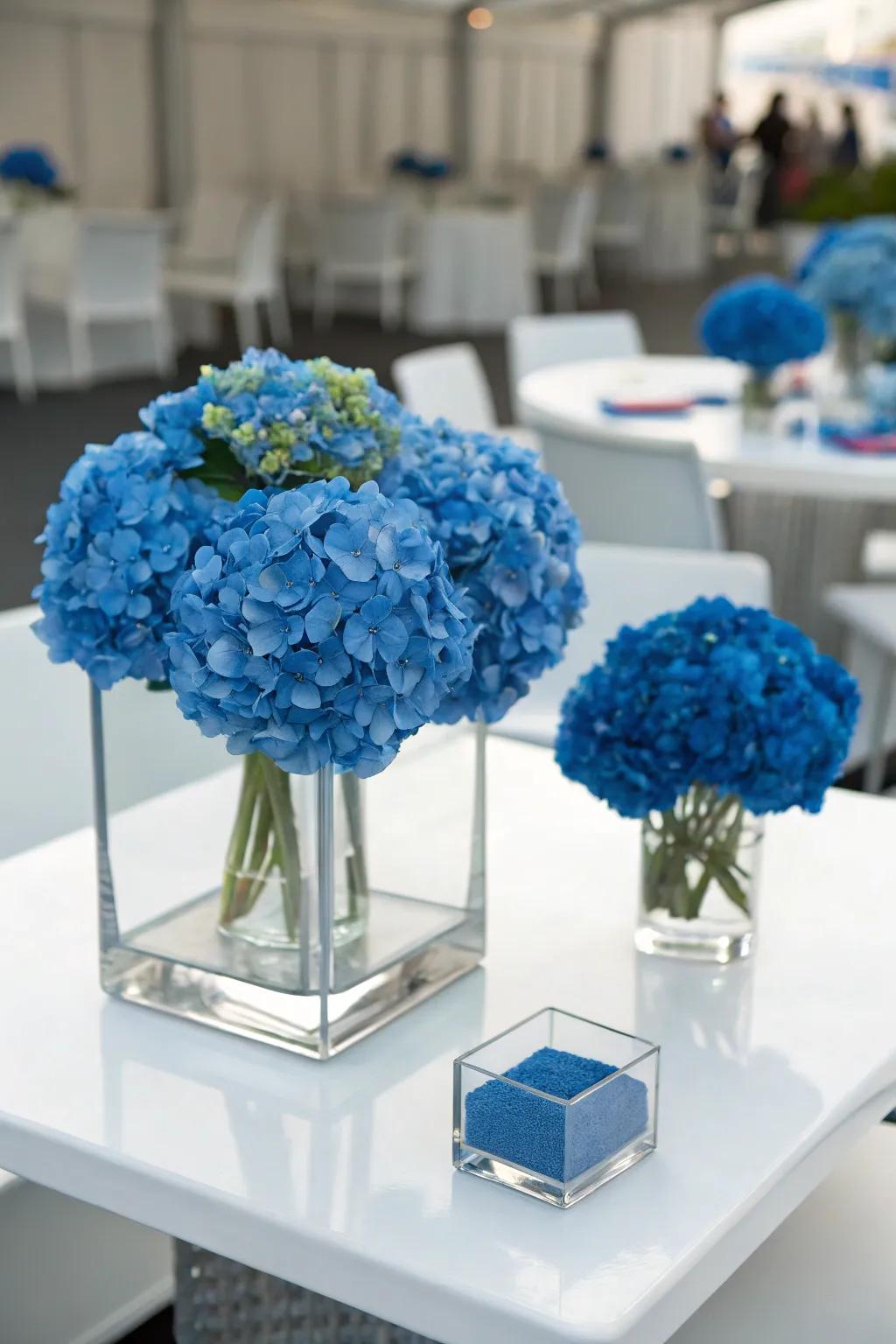 A color block presenting azure hydrangeas conceives a bold, contemporary design.