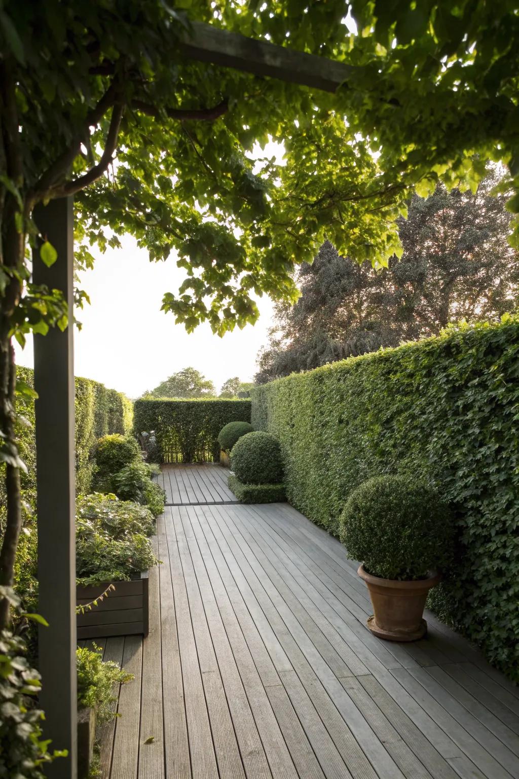 Hedge walls offer natural and eco-friendly shade.