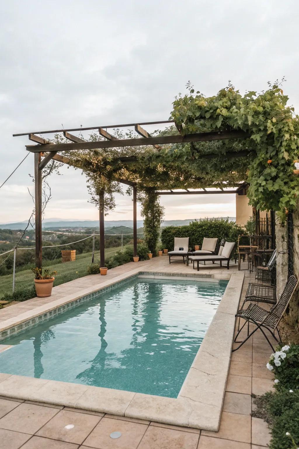 A poolside arbor providing shade and style.