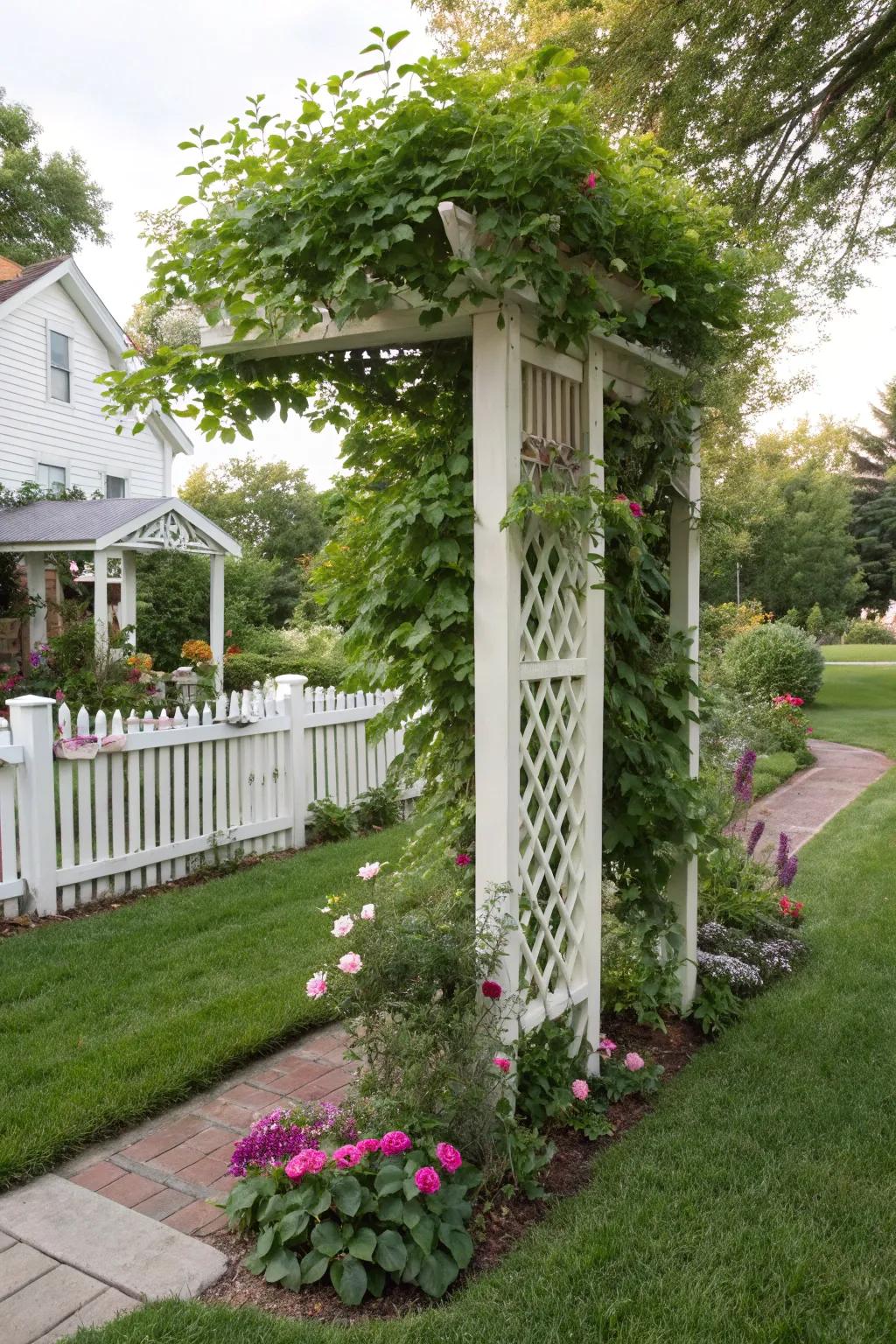 A trellis enhancing a corner space with climbing greenery.