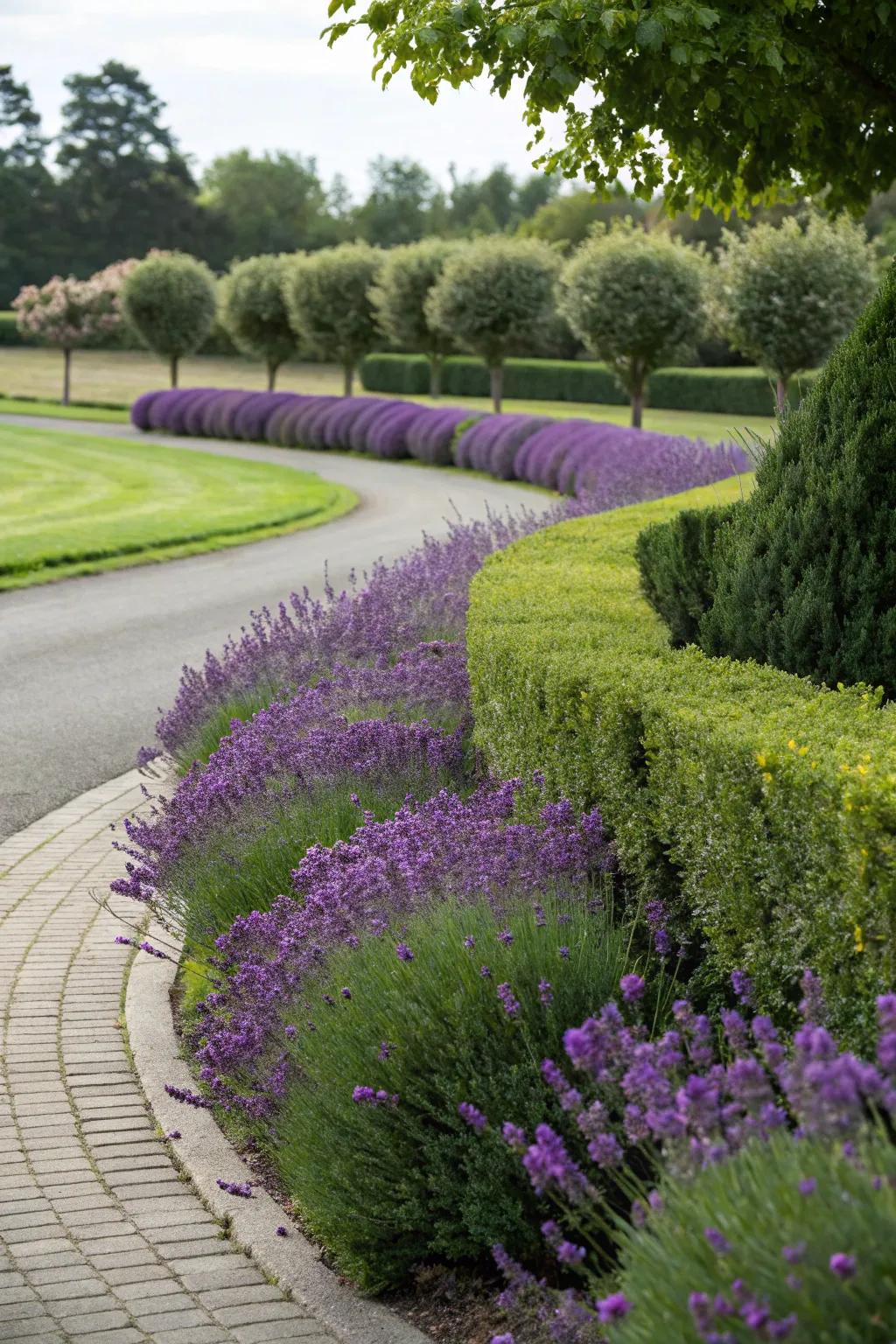 Fragrant hedges offer aroma and softness.