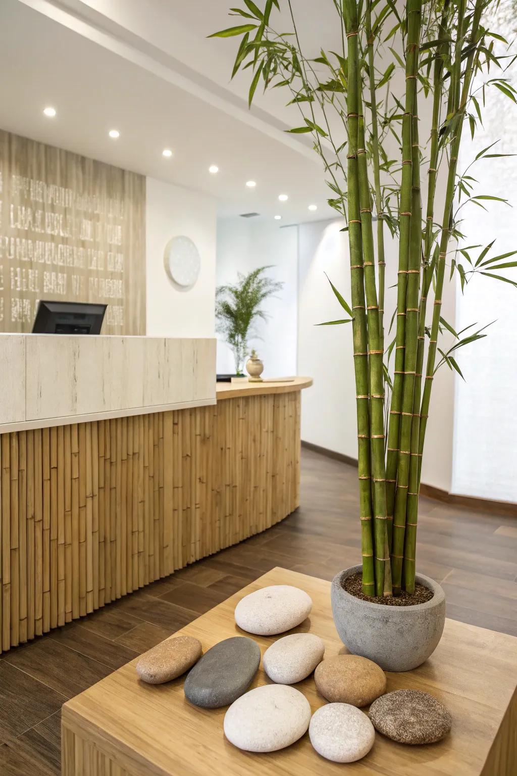 A tranquil and Zen-inspired reception area.
