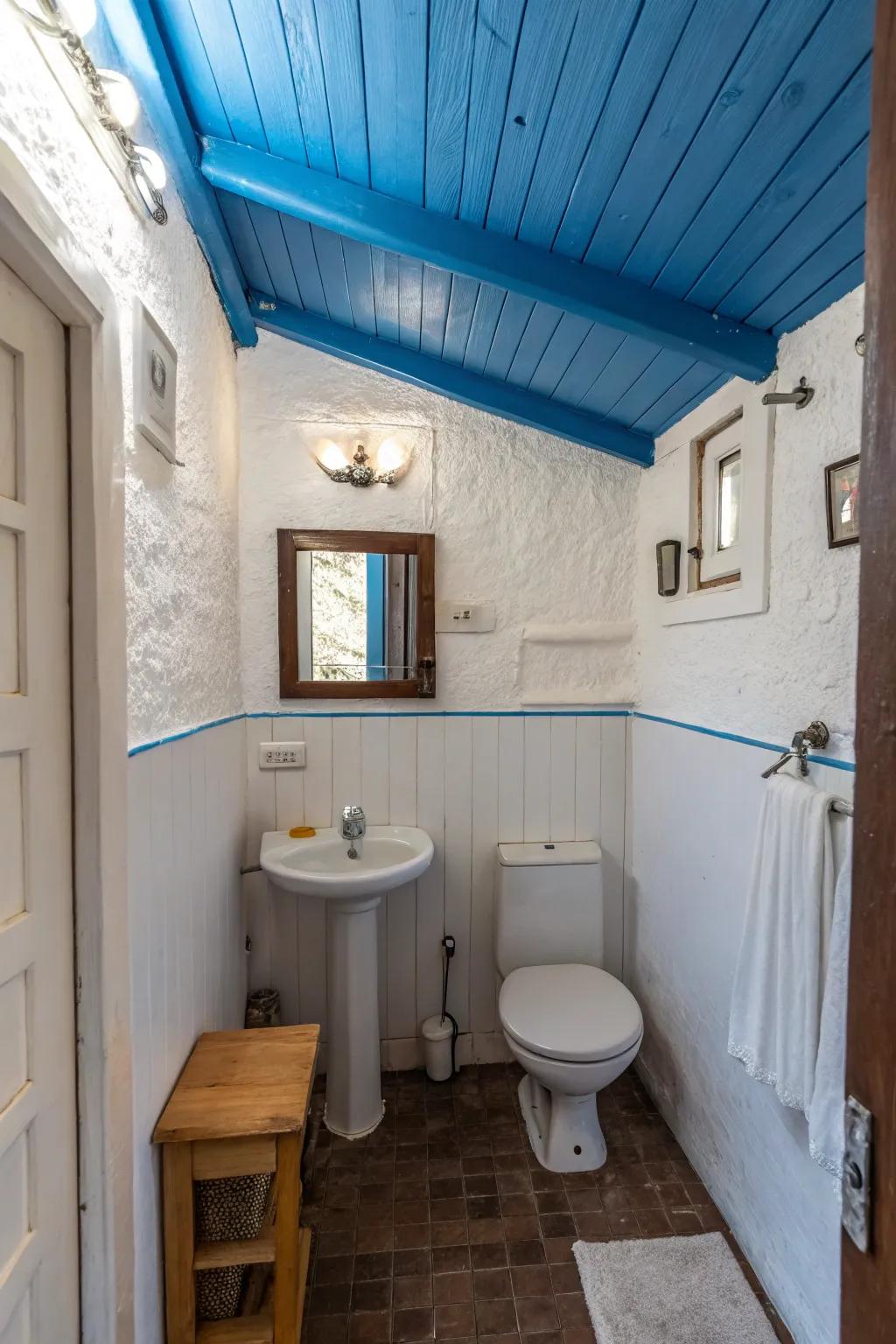 A blue ceiling adds a surprising and expansive element to the bathroom design.