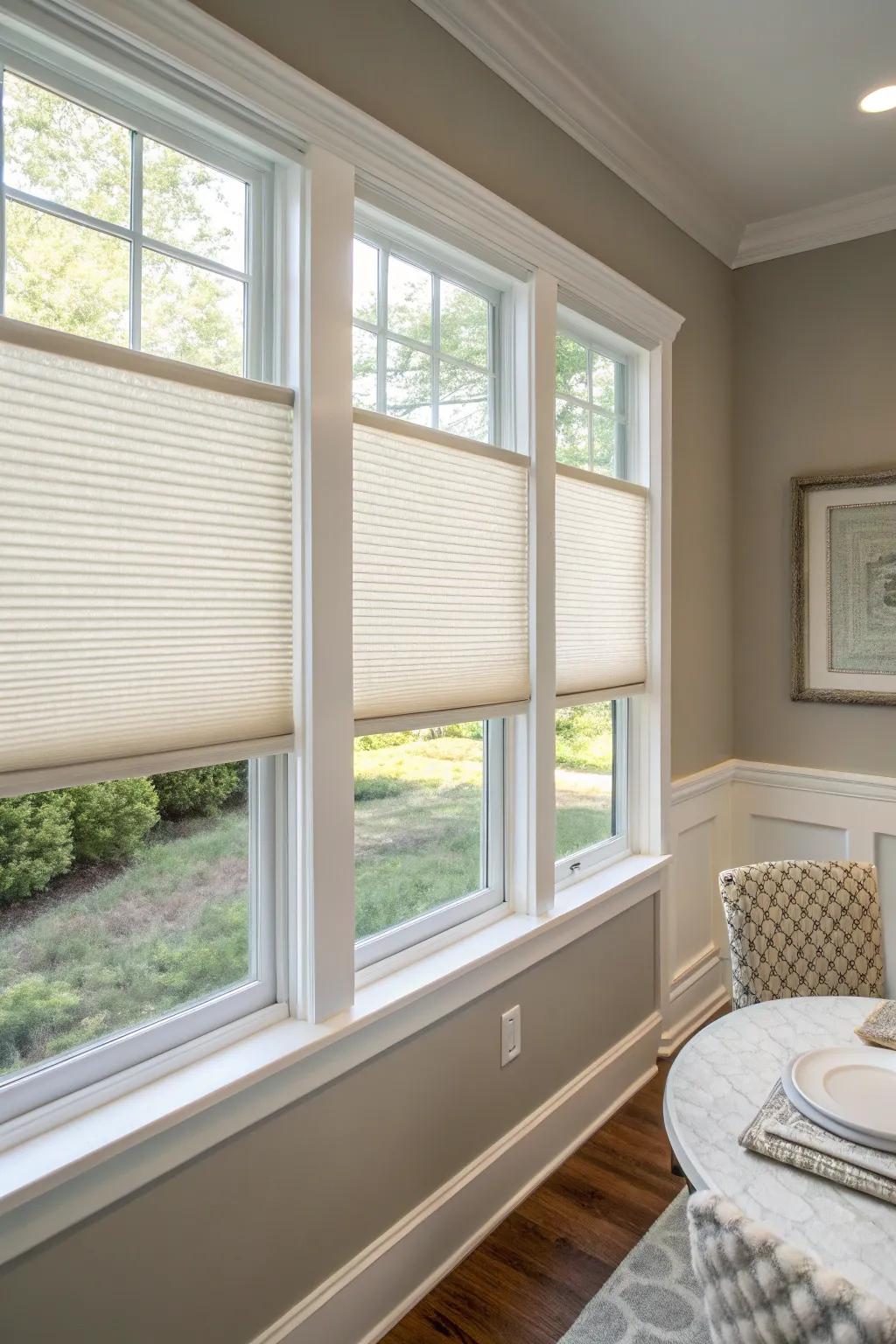 Cellular shades offer energy efficiency and style in one package.