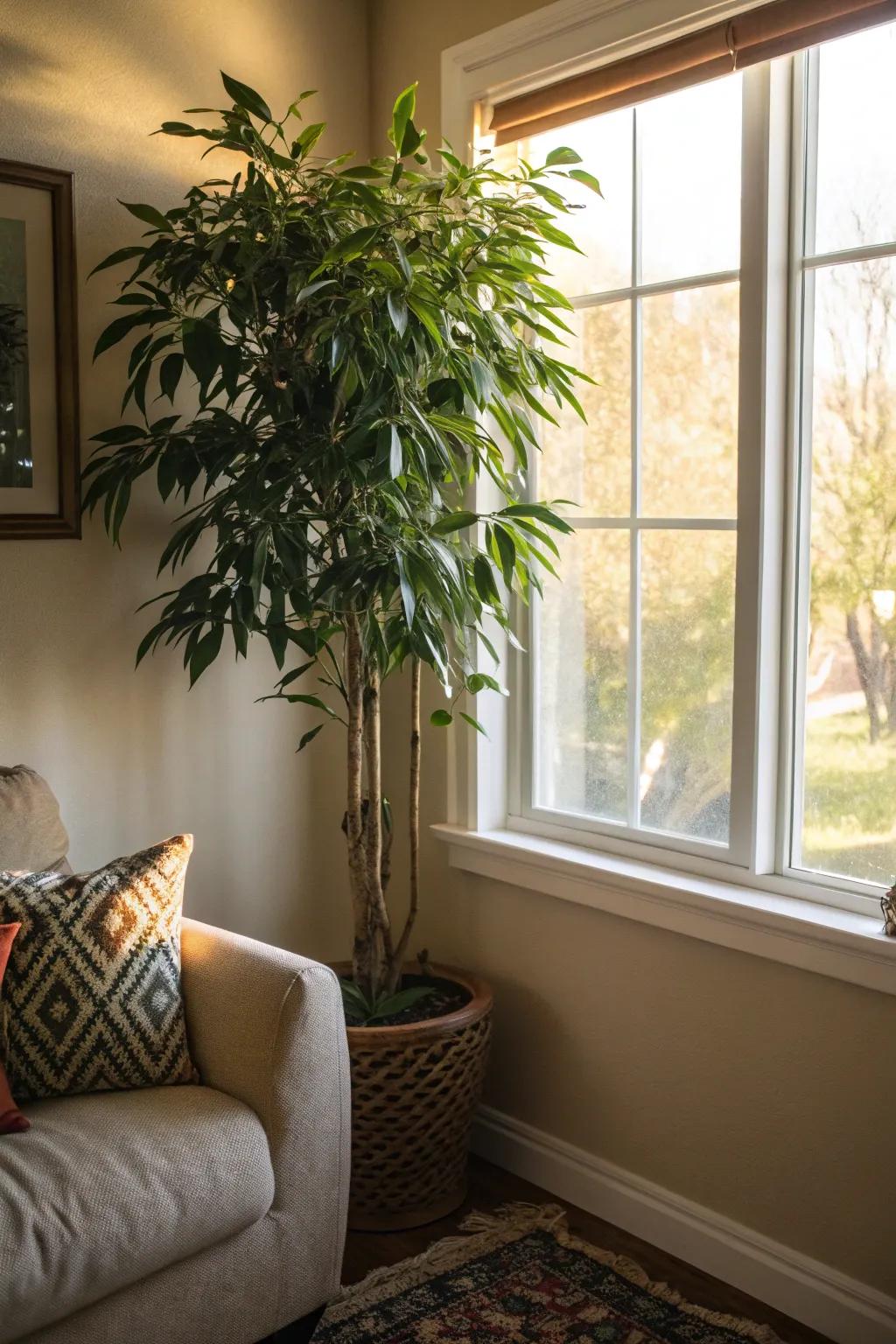 Welcome the beauty of the outdoors inside with a compelling plant.