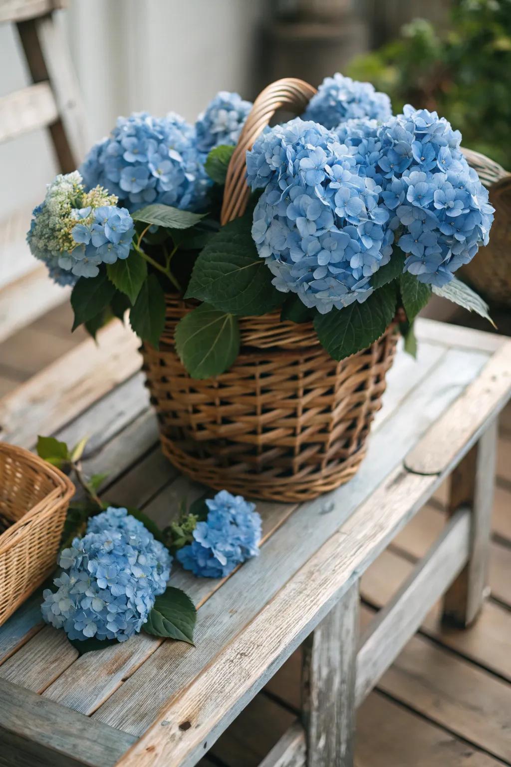 An overflowing rustic basket of azure hydrangeas contributes an attractive element.