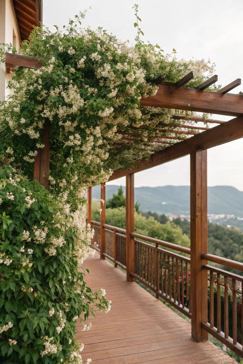 A pergola with climbing vines offers a natural canopy.