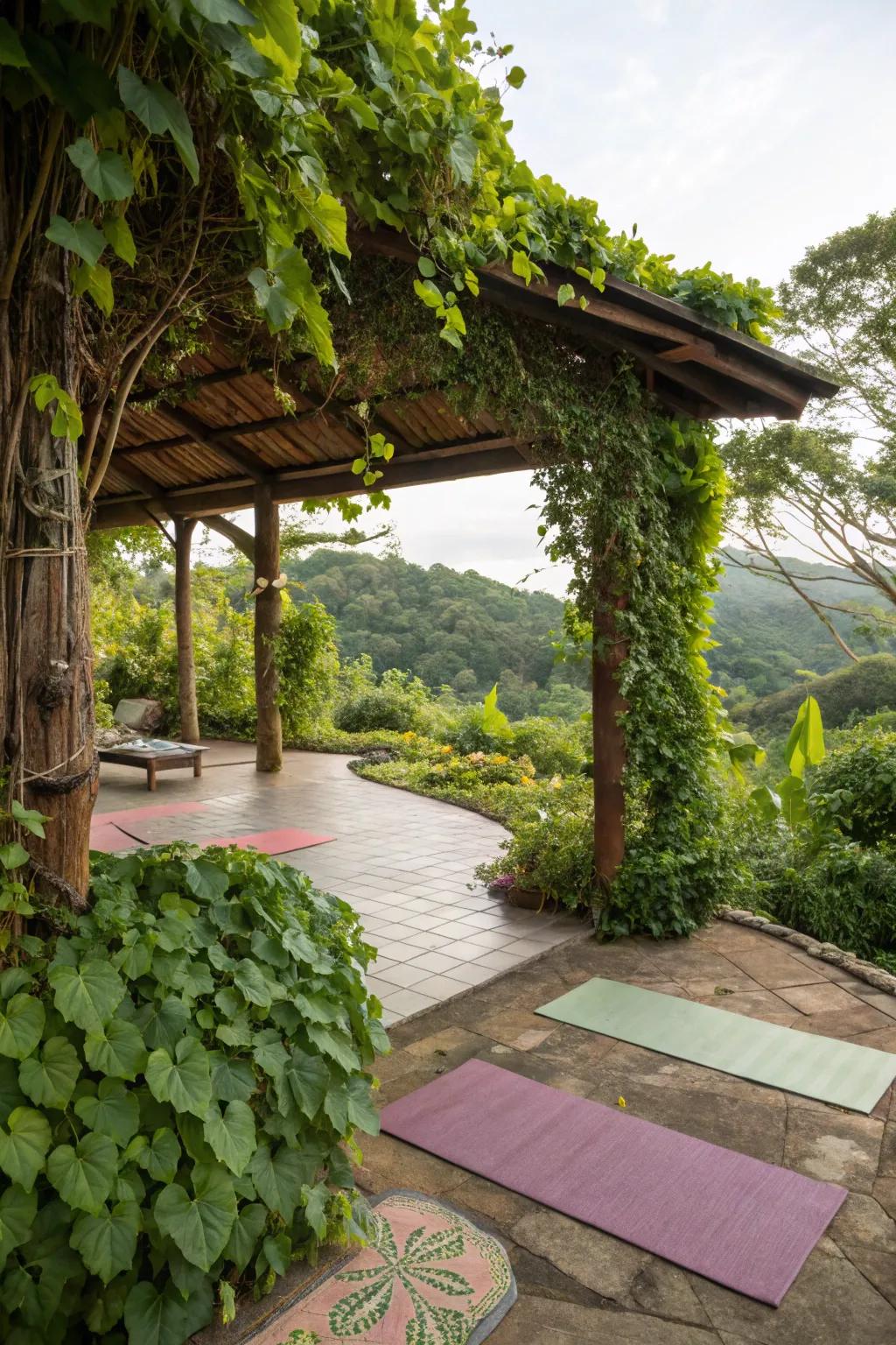 Plant life not only beautifies but also calms and shelters your yoga refuge.