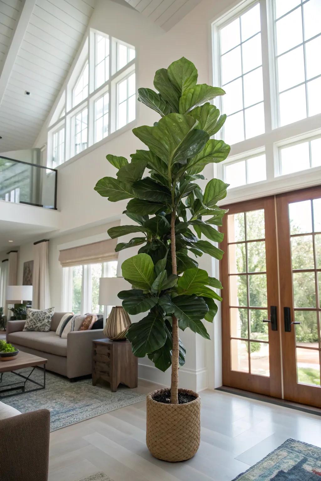 Tall plants accentuate verticality and bring a hint of nature indoors.
