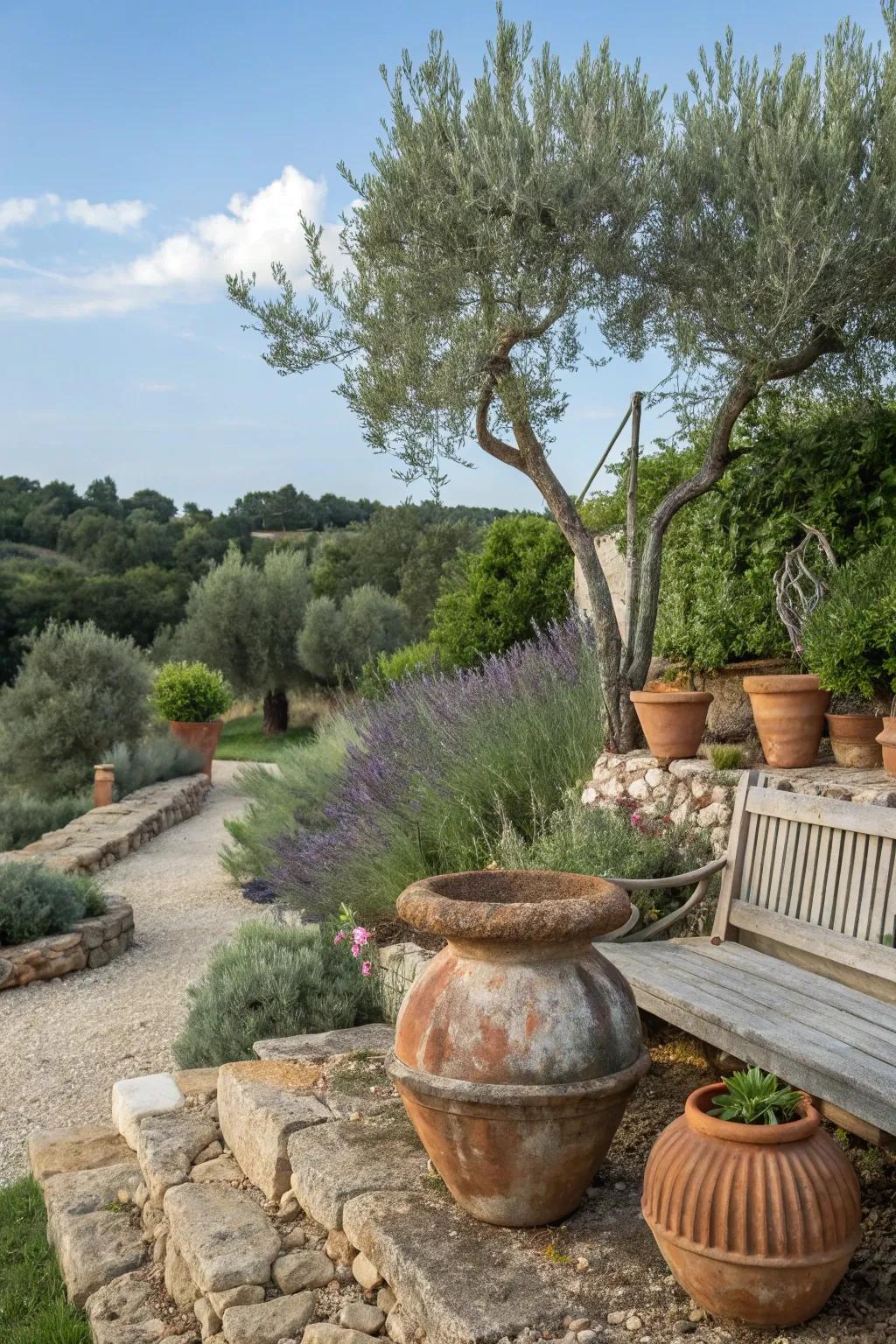 Infuse your garden with Mediterranean vibes through a themed pot arrangement.