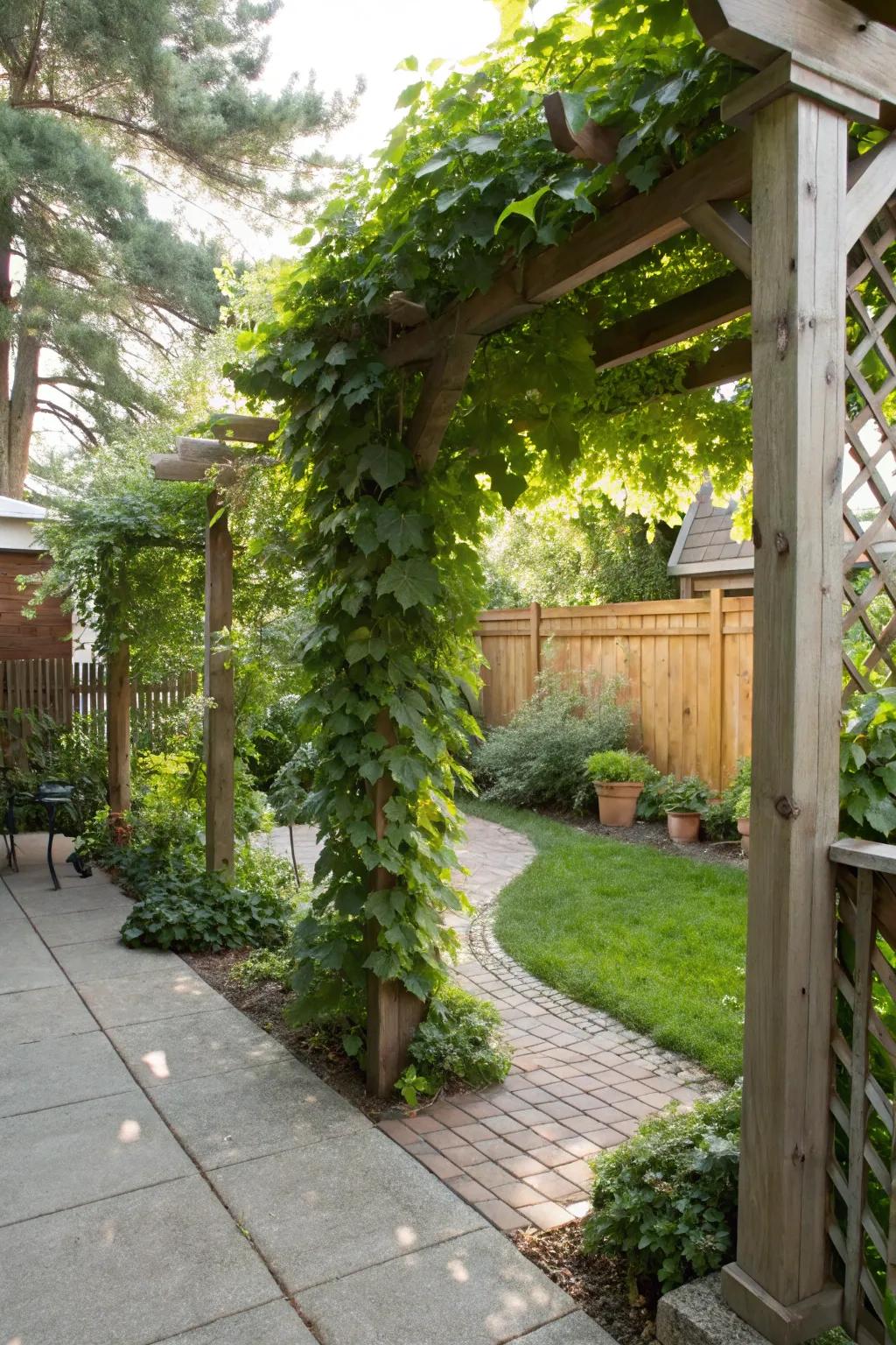 Trellises add height and greenness without taking up ground space.