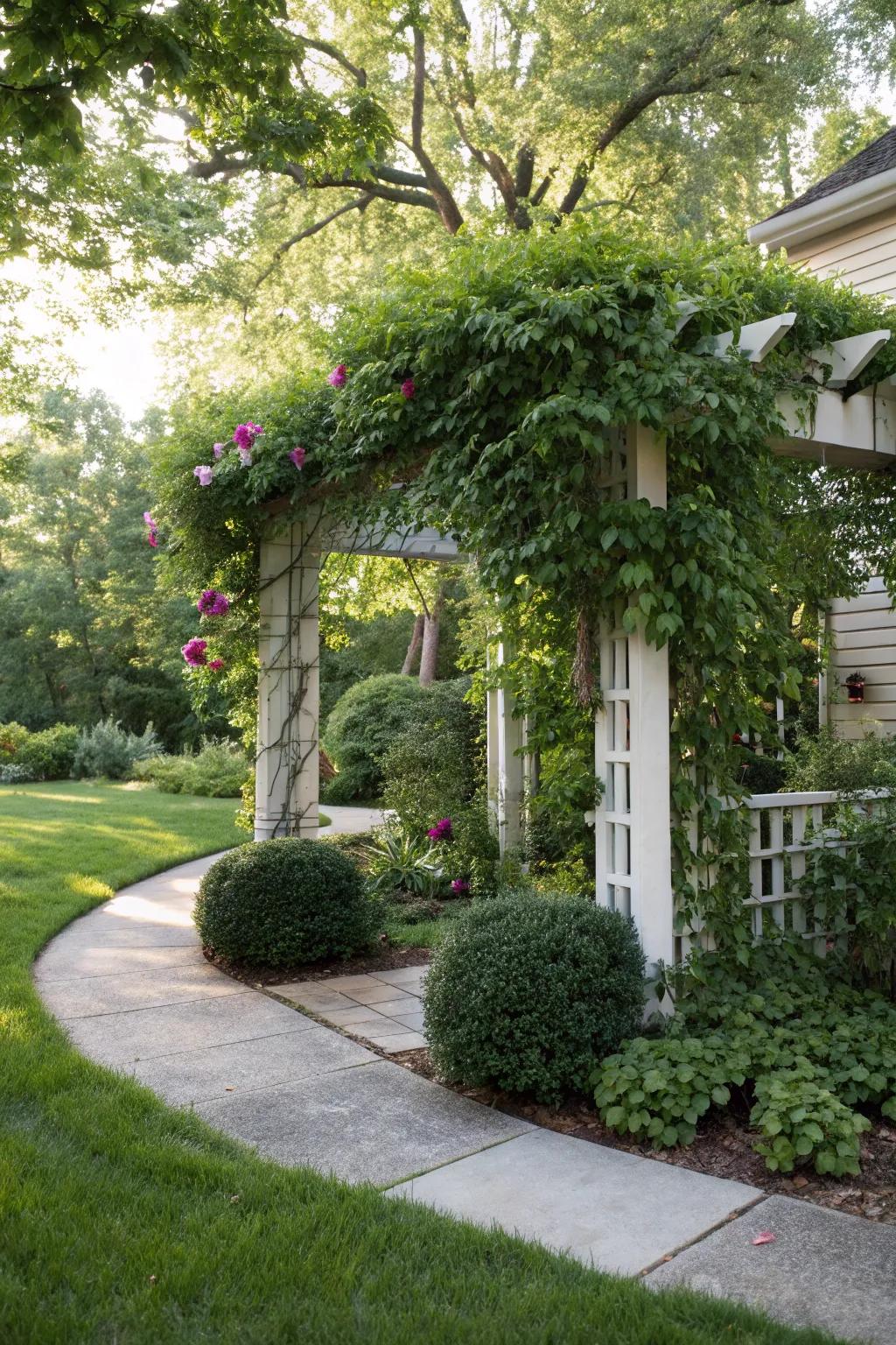 A cozy corner pergola offering shade and beauty.