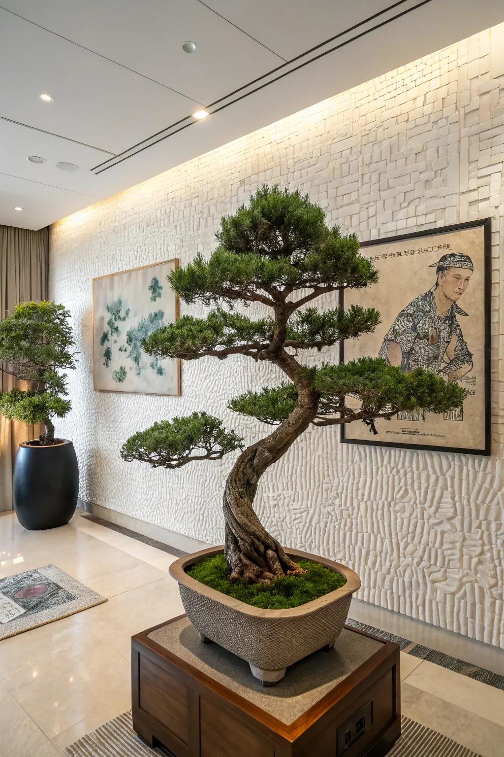 An artistic juniper bonsai positioned elegantly against a textured partition in a modern chamber.