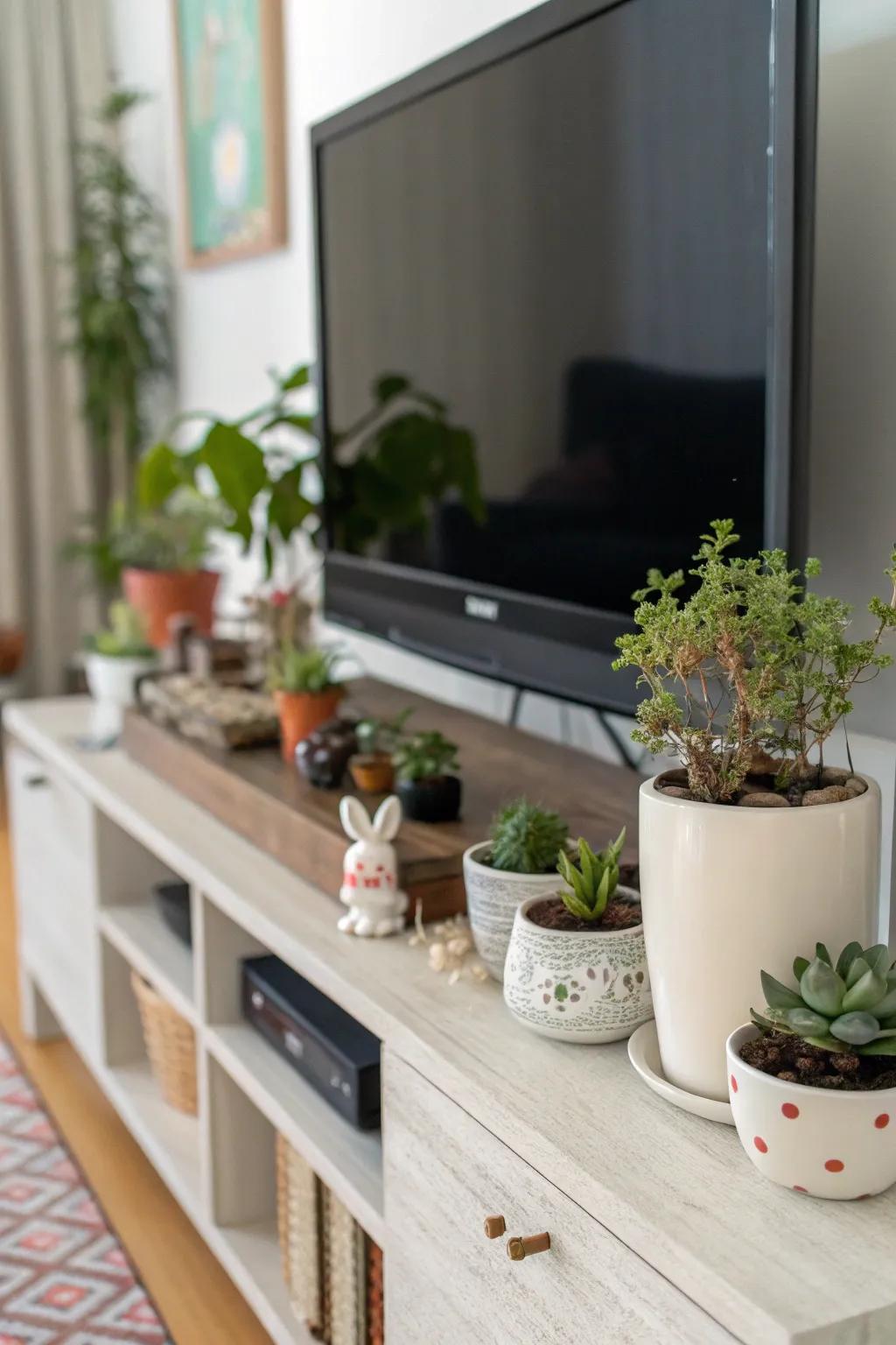 Plants and decor add warmth and character to your TV stand.