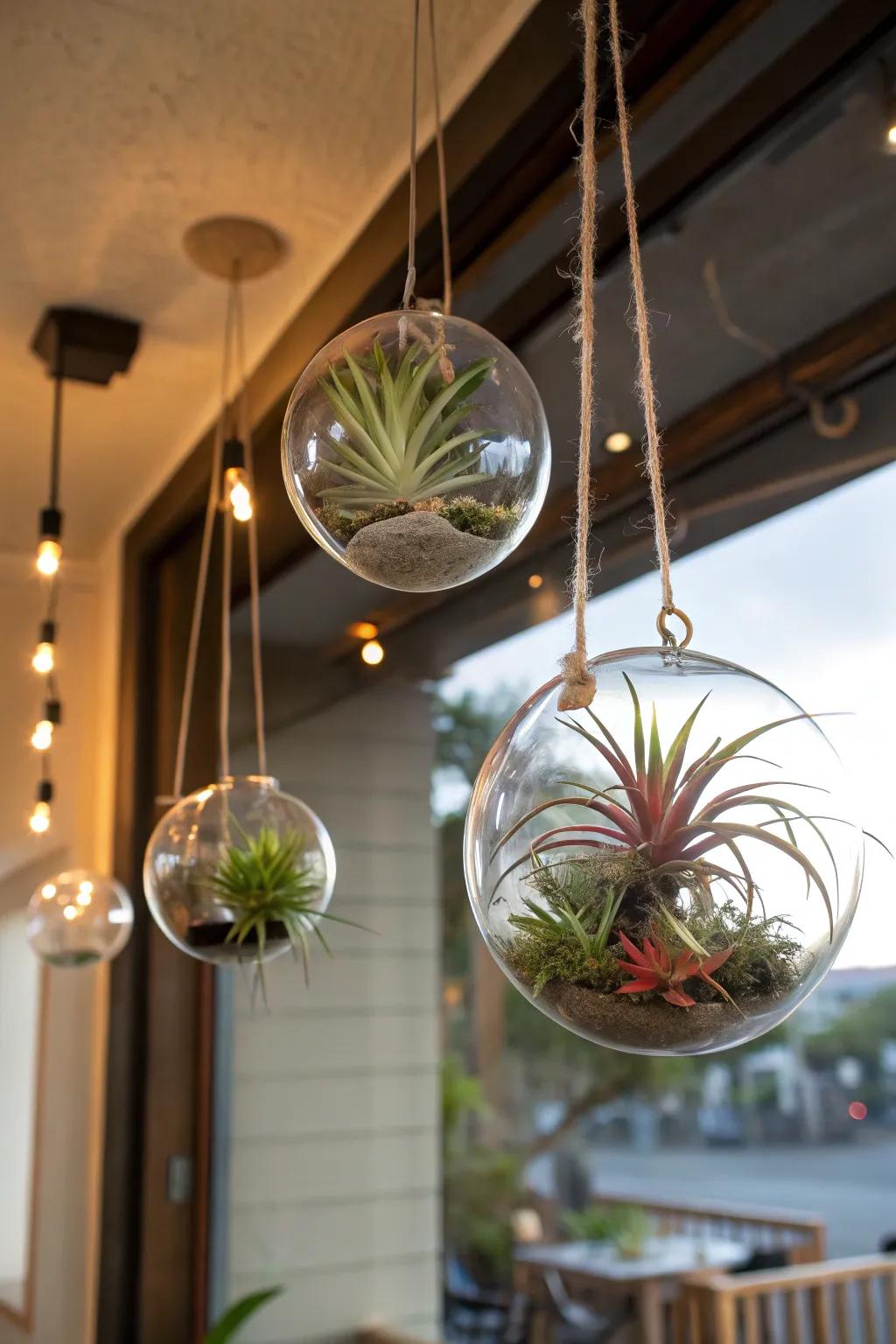 A whimsical suspended garden featuring hanging glass orbs.