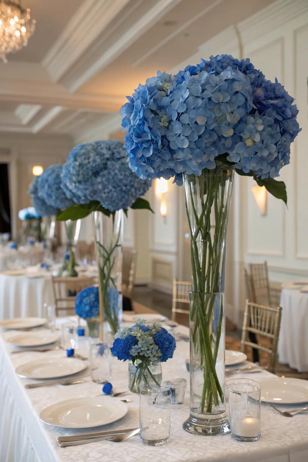Tall vases impart a sensational, elegant appeal to azure hydrangeas.