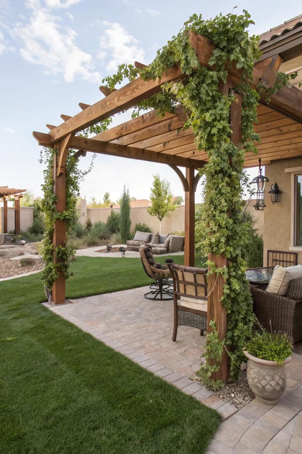 Stylish pergola with climbing plants in a Las Vegas backyard.