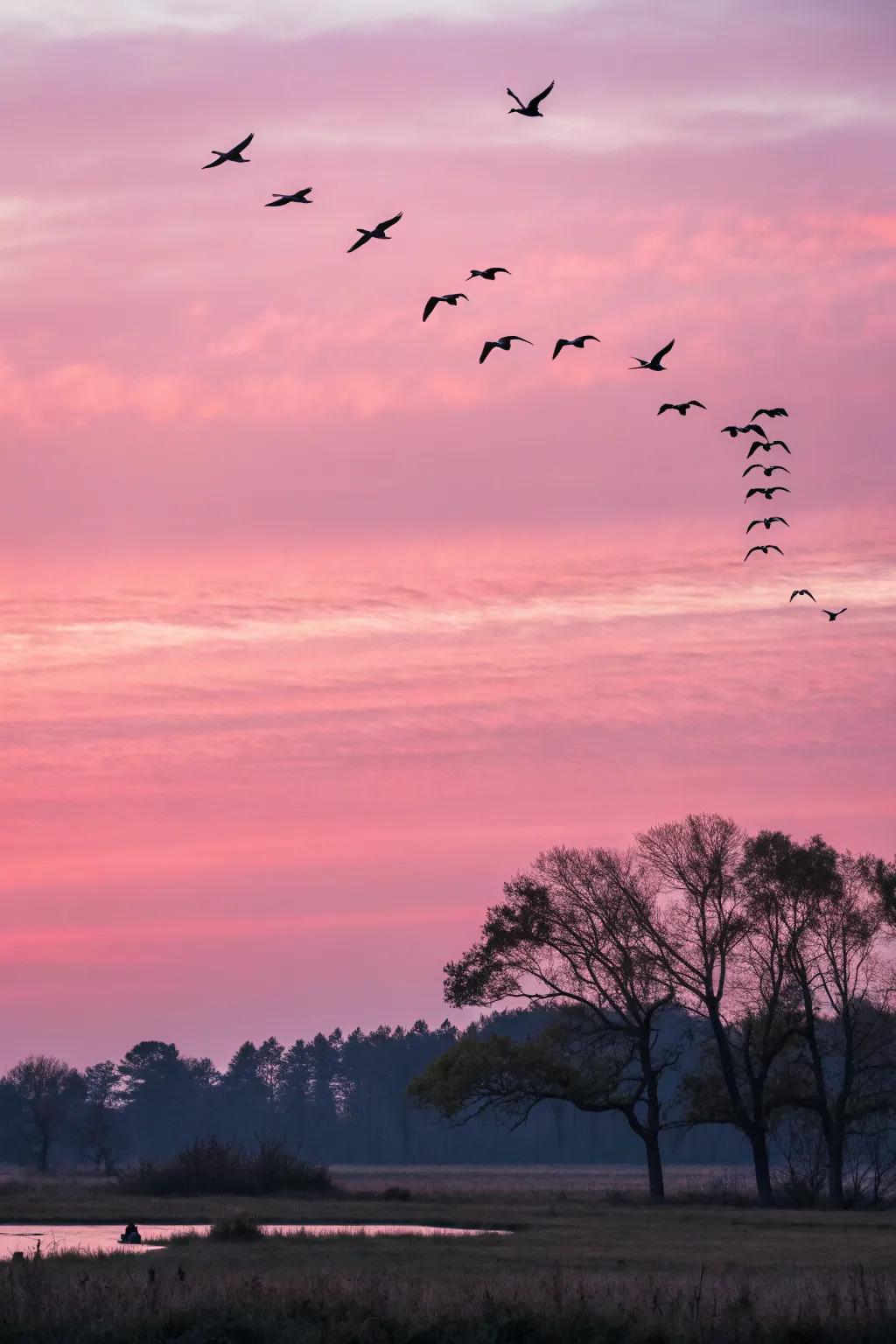 Dynamic painting of birds flying against a pink sky.