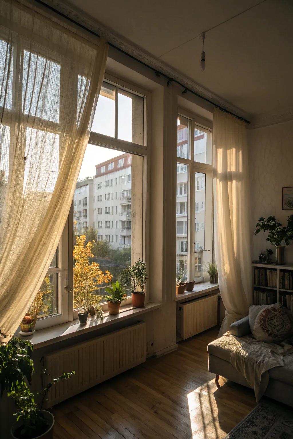 Natural light can make your apartment feel brighter and larger.