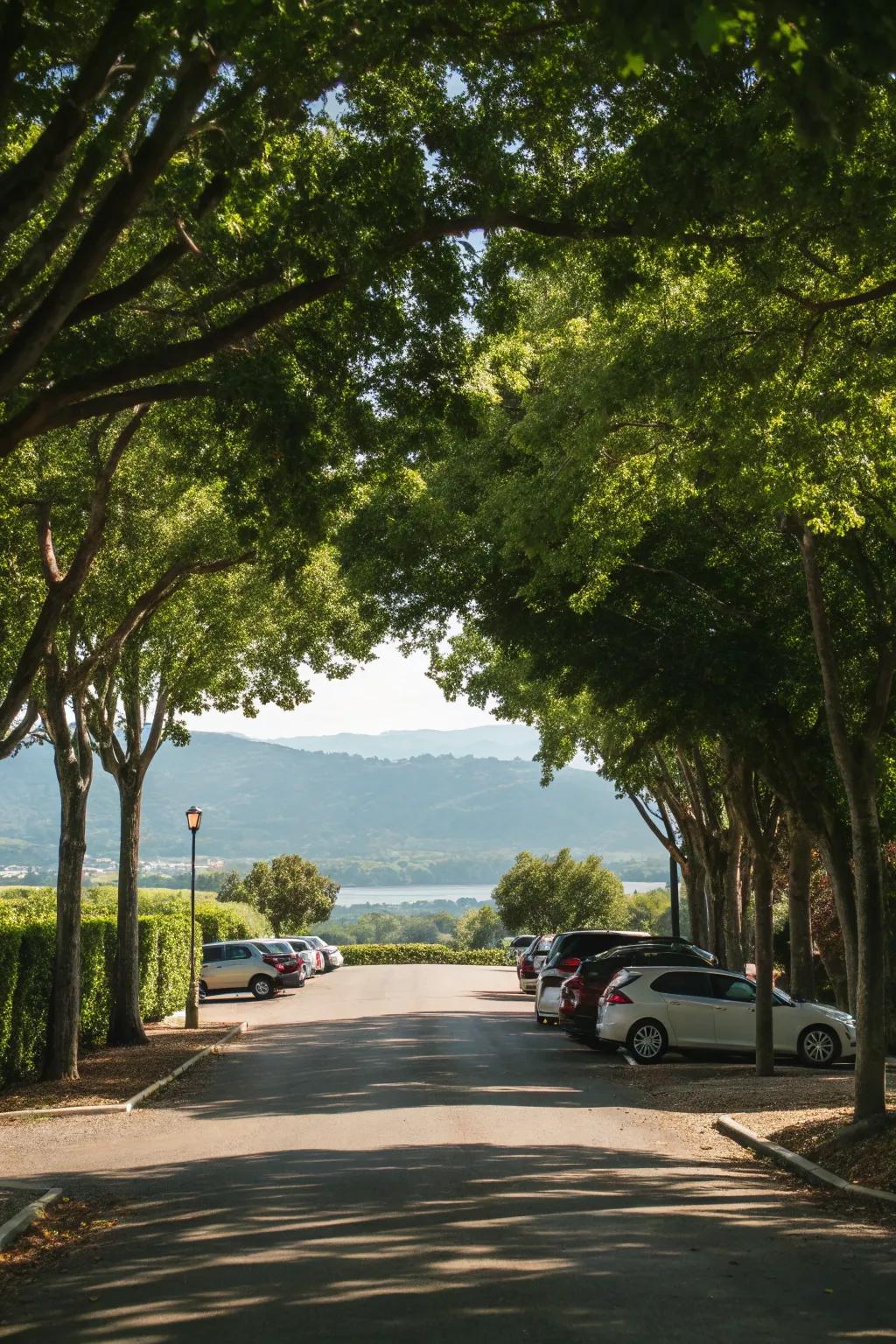 A tranquil, tree-bordered rear lot access provides seclusion and an attractive panorama.