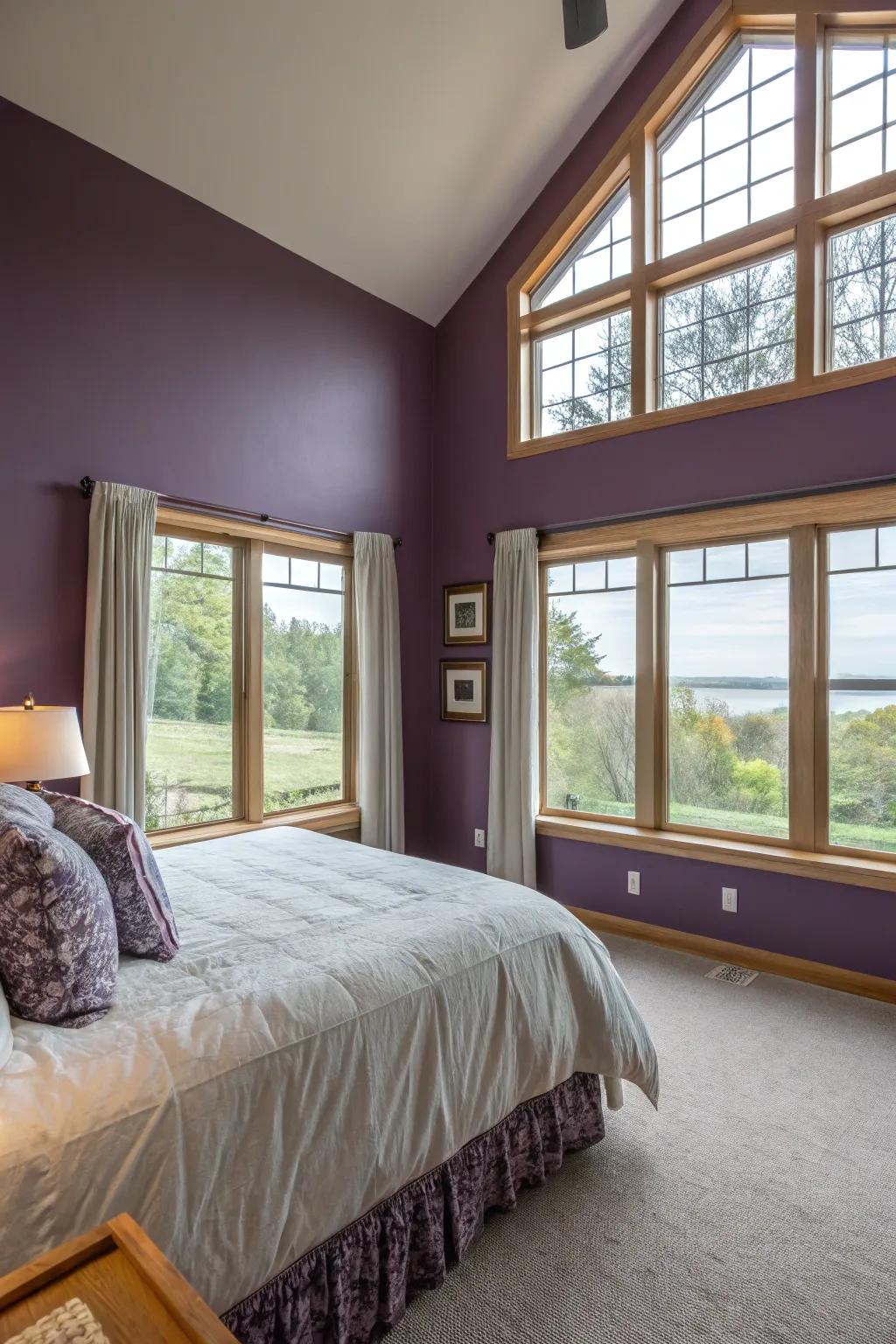 Natural light enhancing the vibrancy of purple walls.